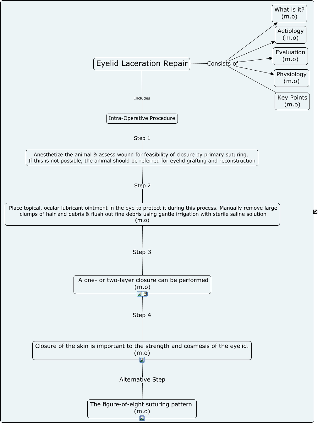 Eyelid Laceration Repair
